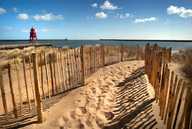 South of Tyne and Wear Local Nature Recovery Strategy