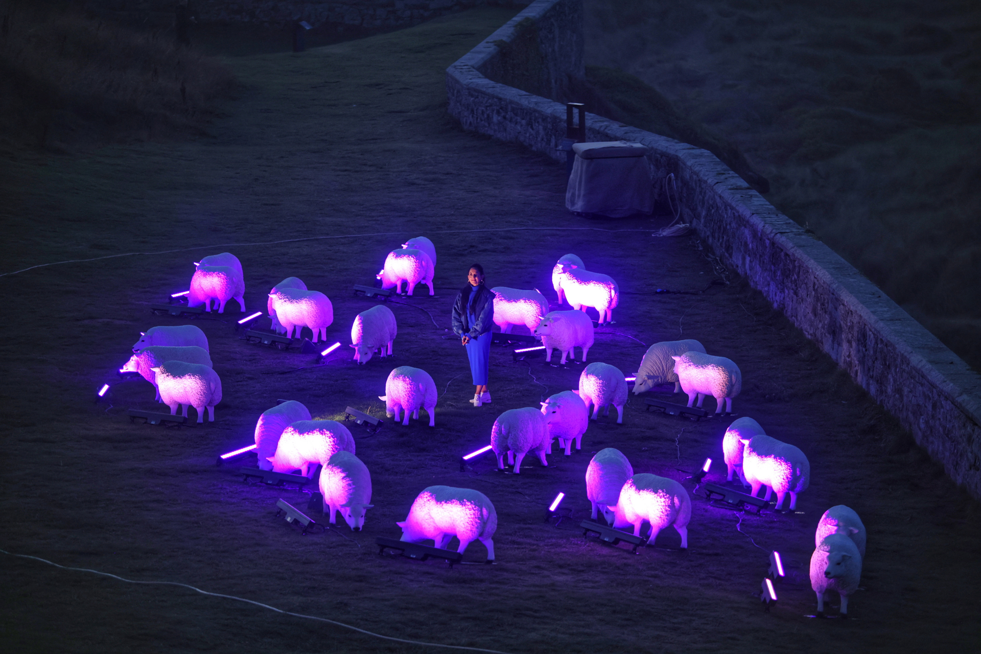 Illuminated Sheep to graze pastures new this Autumn